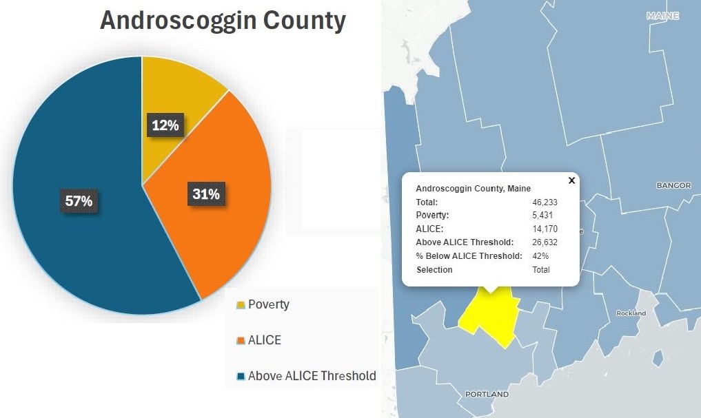 Androscoggin County pie chart and map