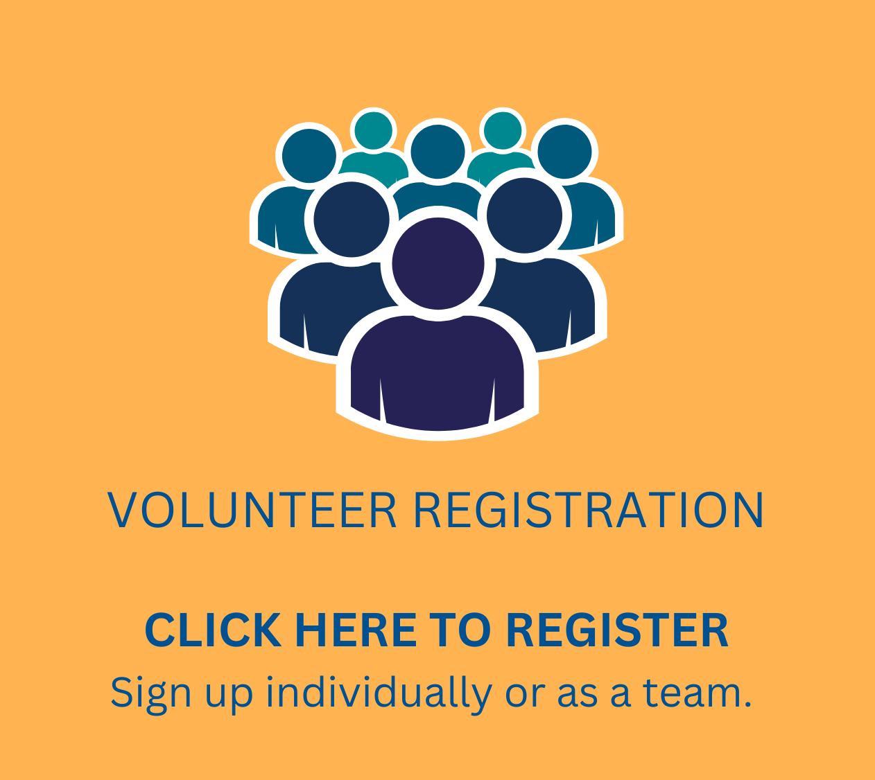 Volunteer Registration button